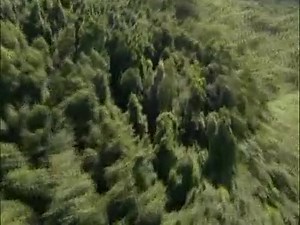 Ancient Megastructures: Will you watch this program? | CTN TV