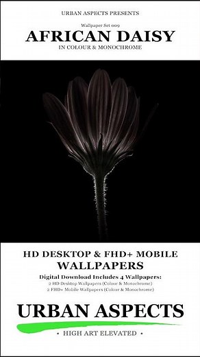 HD Desktop & Phone Wallpapers 4-Pack #urbanaspects #highartelevated