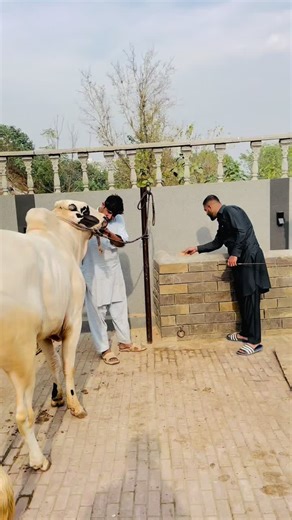 Snapchat Snaps: Creative Party Ideas and Tips