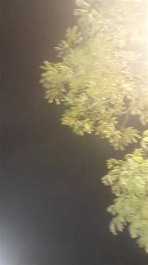 فيديوهات أنشأها نايف الشراري 509 (@ghhgh.ghhh) باستخدام original sound - 𝒮