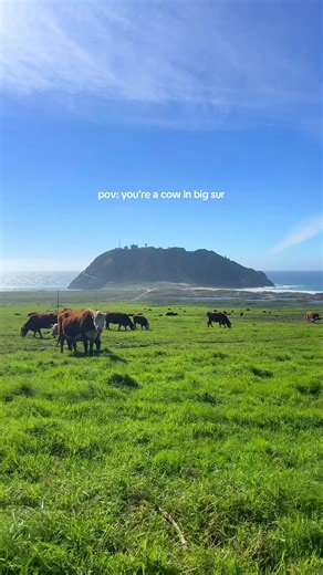 imagine waking up next to the ocean and eating all day #bigsur #fyp | big sur