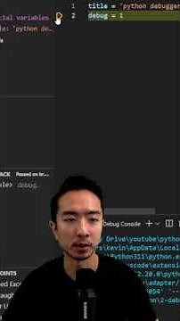 Python Debug VS Code