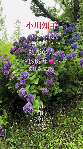 小川知子 初恋の人 | 昭和歌謡曲 ☕️SONGS☕️