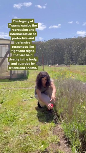 Learn more about Somatic Experiencing® @somaticexperiencingint Visite el enlace de nuestro perfil para obtener más información sobre Somatic Experiencing®: @somaticexperiencingintPost credit @magdalenaweinsteinThe legacy of Trauma can be the repression and internalization of protective and defensive responses like fight and flight, that are held deeply in the body, guarded by freeze and shame.We need to integrate practices that mobilize anger, fear, and specially freeze and shame.There are many 