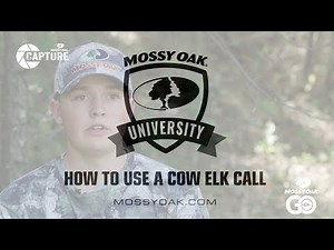 How to Use a Cow Elk Call • Mossy Oak Univeristy