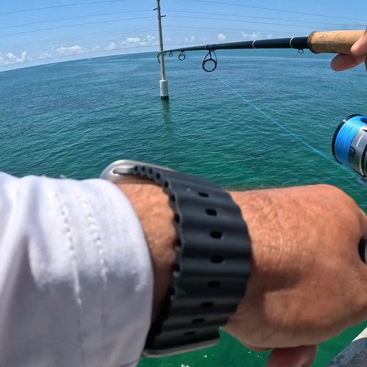 13K views · 175 reactions | This is what happens when you fish Florida Keys bridges! #fishing #bridge #floridakeys #keyslife | Bearded Brad | Facebook
