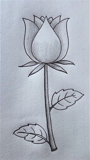 A Beautiful Rose Sketch | Easy Drawing Idea #rongdhonuartanddrawing | Rongdhonu Art and Drawing