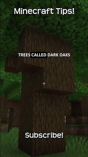 How To Grow A Dark Oak Tree In Minecraft!
