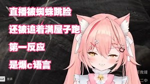 【Hiiro】突然被蜘蛛跳脸，还被满屋子追，与彼得帕克大战三百回合