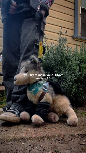 Exploring Plush Emotional Support Stuffed Animals
