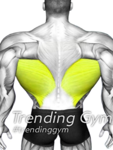 8 Fastest Huge Back Exercises for Wide Lats