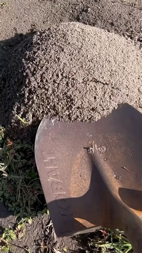 Fire Ants mound shovel 🪏