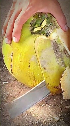 How to Cut a Coconut Easily 🥥 | Simple & Fast Technique! #Shorts