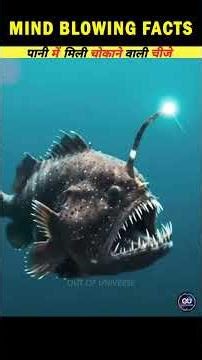 Mind Blowing Underwater Discoveries You Never Heard About! #facts