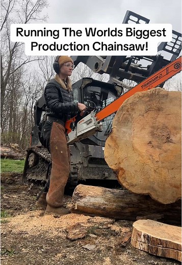 Maple cookies!🤤 #chainsawjenna #chainsaw #bluecollar #wood | Chainsaw