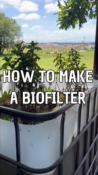 How to make a grey water filter!