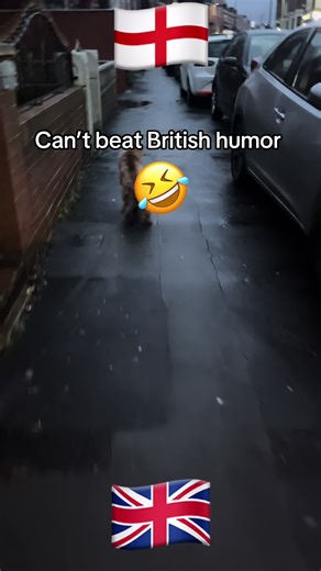 Funny British Humor: Daniel's Pub Dog Encounter