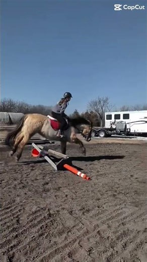 Little jumpy jump for truck!! #horse #equestrian