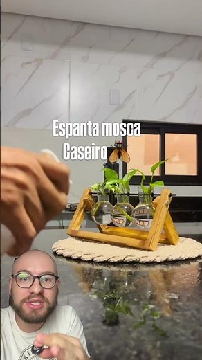 How to make a homemade fly repellent