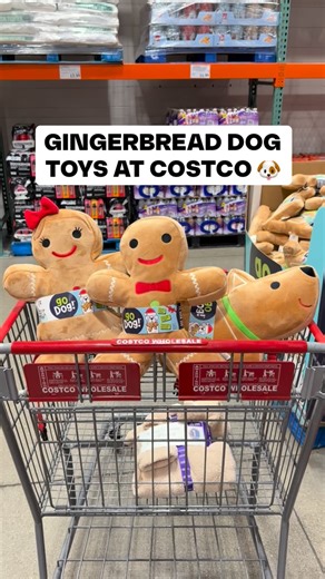 🐶 Holiday Gingerbread Friends Dog Toys are at Costco! These plush cuties are soft, festive, and perfect for pups who love cuddly toys 🎄 Available in girl, boy, and dog shapes — too adorable! $8.79 #Costco #DogToys | Costco Buys
