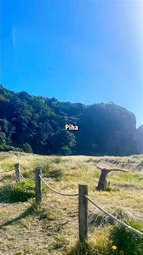Piha Beach Hits Absolutely Different 🌊✨ #zephyranz #PihaBeach #naturewalk
