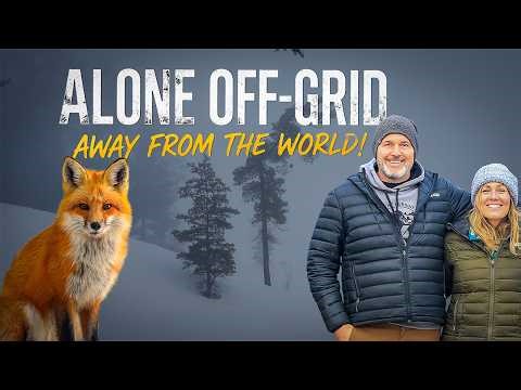 Alone and Off Grid | Could You Live Like This?