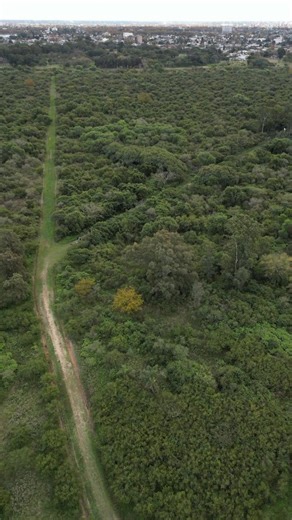 Municipalidad de VGG on Instagram: "10 AÑOS TRANSFORMANDO LA CIUDAD, 10 AÑOS TRABAJANDO POR EL CUIDADO DEL AMBIENTE Hace 🔟 años comenzamos a construir juntos la ciudad que nos merecemos, 10 años donde pusimos el acento en el cuidado del ambiente: 🌾protegiendo nuestra Reserva Natural, 🌳plantando más de 3000 árboles en el marco del Plan de Arbolado. 🛝Hemos transformado el basural a cielo abierto más grande del sur provincial en el Parque de la Amistad, y microbasurales convertidos en plazas de