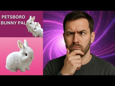 Petsboro Bunny: ¿Conejo Robot o Estafa? 🐰