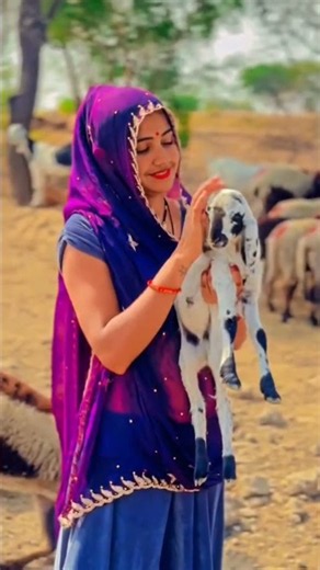 roop rang ne kun dekhayo rajasthani song marwadi song #rajasthanisong #marwadisong #newshorts #song