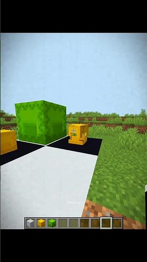 Minecraft Shulker Box Illusion Moment