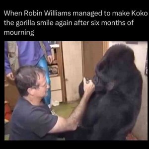 When Robin Williams Made Koko The Gorilla Smile Again After Being Depressed
