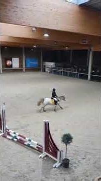 the horse is soo powerfull #horse