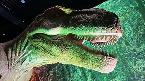 Walk among dinosaurs at Mulva Cultural Center