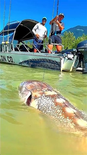 She Gave Her Life So Her Babies Could Live… And We Just Scrolled 💔🐟 #short #shorts #nuralomOfficial