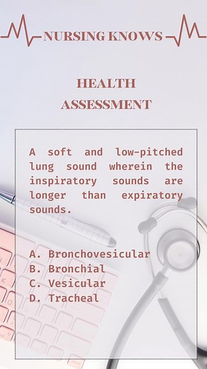 96K views · 2K reactions | Health Assessment: Respiratory System #nurses #nursing #nursingstudents #medical #respiratory #healthy #assessment #health | Nursing Knows | Facebook