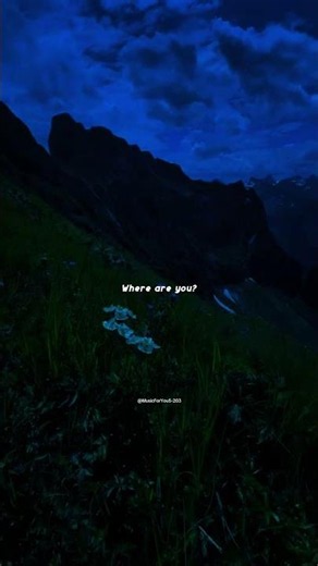 Snap - Rosa Linn | lyrics | aesthetic edit