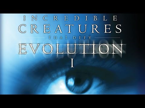 Incredible Creatures That Defy Evolution | Episode 01 | Educational