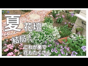 【ガーデニング】夏から秋まで楽しむ花壇へ植え替え 夏はたくさん咲いて楽がいい お手入れ簡単 ビギナーでもしっかり咲きます