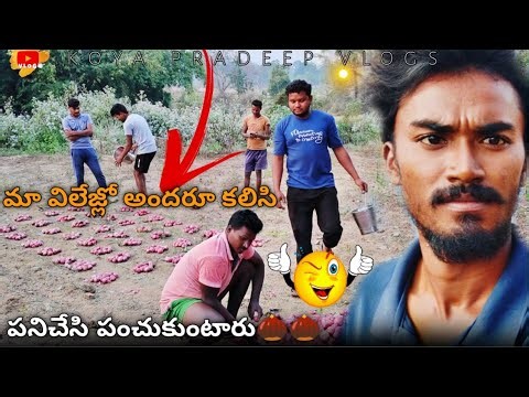 మా విలేజ్ లో అందరు కలిసి పనిచేసే పంచుకుంటారు 🌰🌰