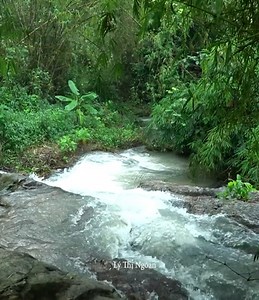 960K views · 10K reactions | processing sticky rice (gac, peanuts, beans) to sell at the market - take care of sick children | Viral Clips 50 J10 | Facebook