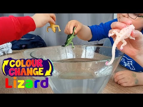 Colour Change Lizard Color Changing Toys