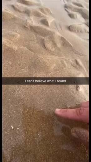 #funny #meme #beach