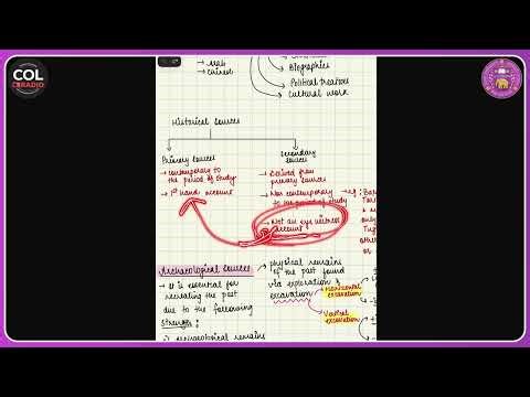 Lesson - 1 | introduction to ancient history and archaeological sources #dusol #delhiuniversity