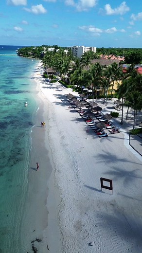 See the full beauty of Dreams Cozumel Cape from above! Our drone captures the extended beach, sparkling waters, and lush surroundings, a perfect preview of your tropical getaway. #dreamscozumelcape #cozumel #islacozumel #beachparadise | Dreams Cozumel Cape Resort & Spa