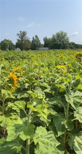 much love for this lady💗 #coolmom