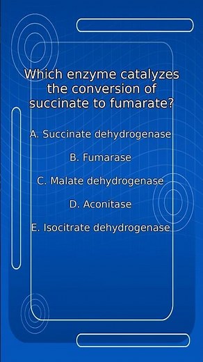 Which enzyme catalyzes the conversion of succinate to fumarate