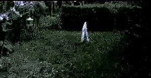 Fresno Nightcrawlers Are Terrorizing The Dark, And They’re Spreading Far From California