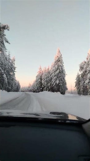 Зимняя дорога в лесу / Северная природа / Winter road / Driving through the forest #snow #nature