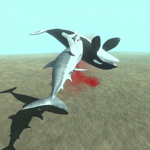 GREAT WHITE SHARK VS ORCA - ARBS - Animal Revolt Battle Simulator