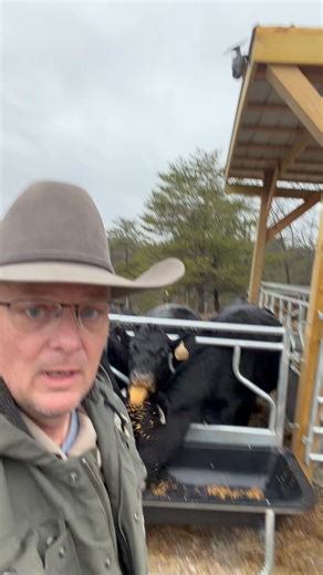 Update on the 360* 4G cellular security camera. | Reed Livestock & Co.